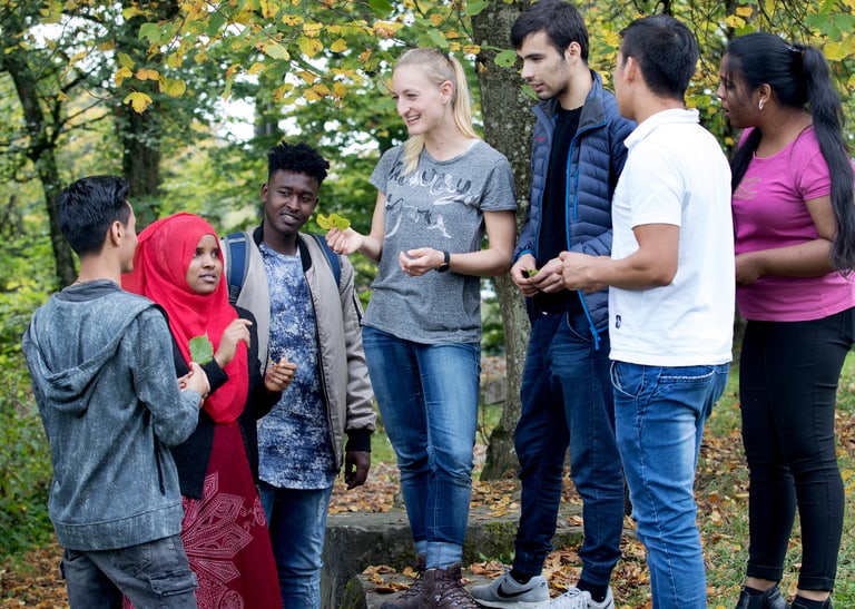 Eine Gruppe Jugendlicher im Wald