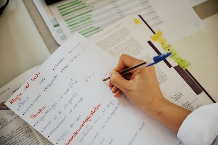 Afsaneh bei der Bèroarbeit